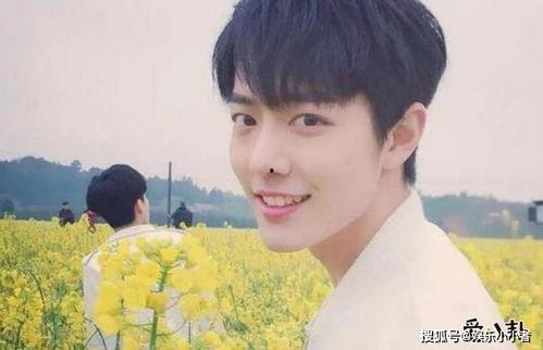 娱乐圈吃瓜合集博君一肖,娱乐圈的甜蜜瓜田，甜蜜蜜的瓜事连连